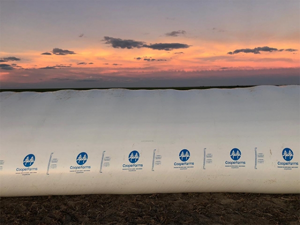 Produtores suprem déficit na capacidade de armazenagem com silo-bags