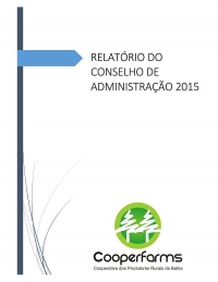 Relatório do Conselho de Administração 2015