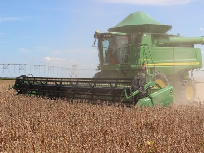 Bahia colhe 4,17 mil toneladas na safra 2014/15