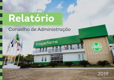 Relatório Conselho de Administração 2019