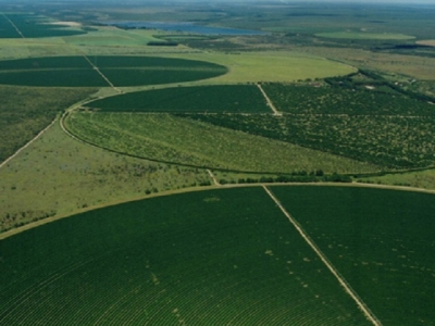 Governo prorroga por um ano a inscrição no Cadastro Ambiental Rural