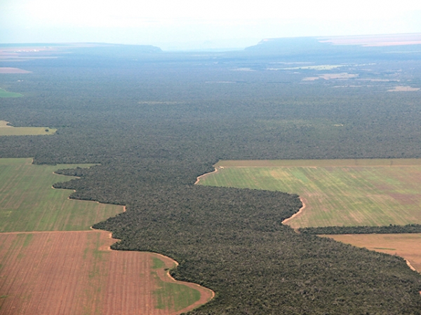 Quem preserva o cerrado brasileiro?