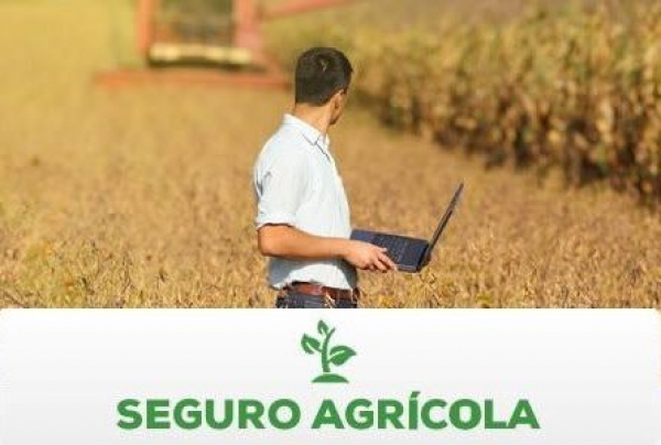 Governo paga restante do seguro rural de 2015