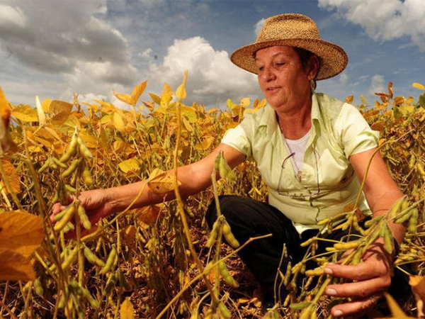 ONU defende empoderamento das mulheres do campo no Brasil