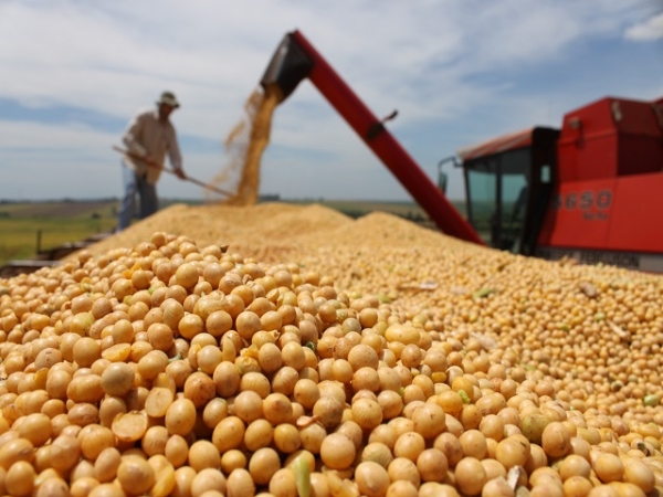 Sindicato Rural de LEM promove Seminário de colheita