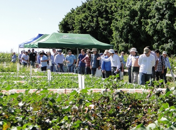 Cooperfarms apoia encontro técnico Instituto PAS