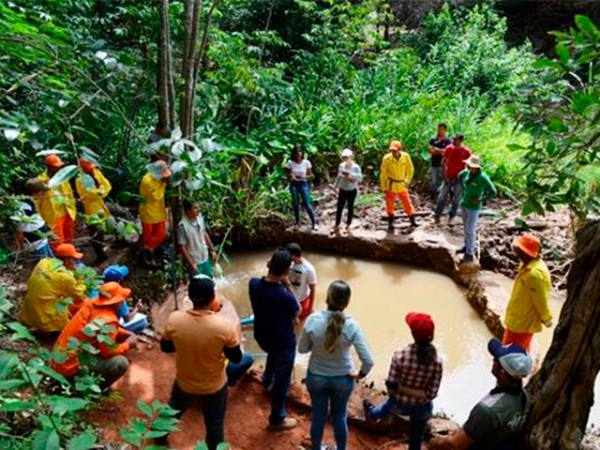 Produtores baianos recuperam primeira nascente de rio em São Desidério, no oeste da Bahia